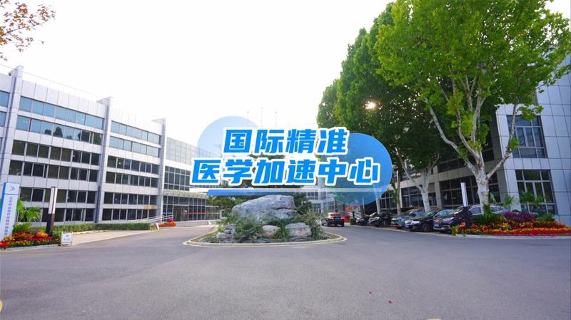 肠道菌群检测：解锁健康密码